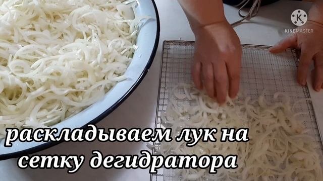 Вкусные рецепты дома