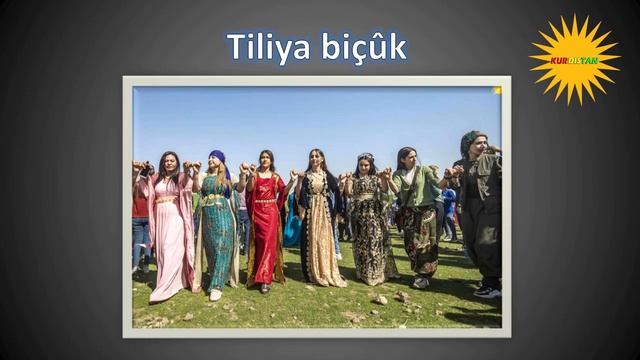 История Курдского танца Govend/Diroka_Kurda смотреть онлайн