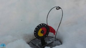 Мотособака  IKUDZO Рыбалка Глубокий снег Сильный мороз