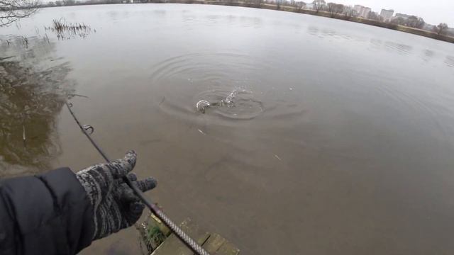 РЫБАЛКА на НА ЩУКУ в Ноябре на СПИННИНГ\ рыбалка на хищника на китайский воблер. смотреть онлайн