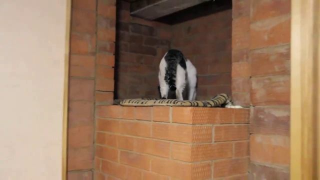 Русская печь Теплушка-15 малая. Вид сзади. Работа Константина Борзова смотреть онлайн