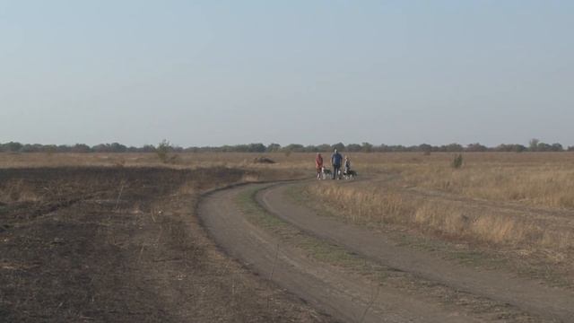 #2 Ездовой спорт для начинающих | виды мотивации смотреть онлайн