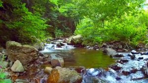 МУЗЫКА РУЧЬЯ. Красивая Спокойная мелодия со звуком Ручья для успокоения, релаксации и медитации.