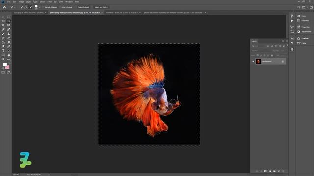 Manipulation Photo Fantasy Betta Fish Archway - Tutorial Photoshop CC 2020 смотреть онлайн