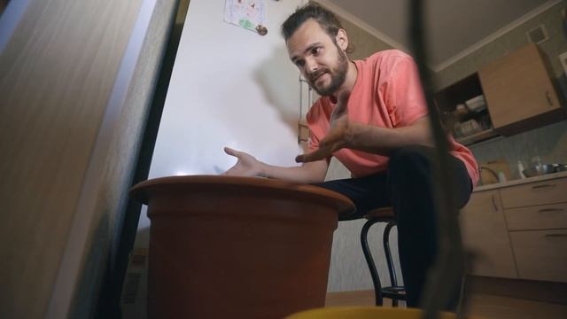Почему нет обучающих видео на канале / Дачный влог смотреть онлайн