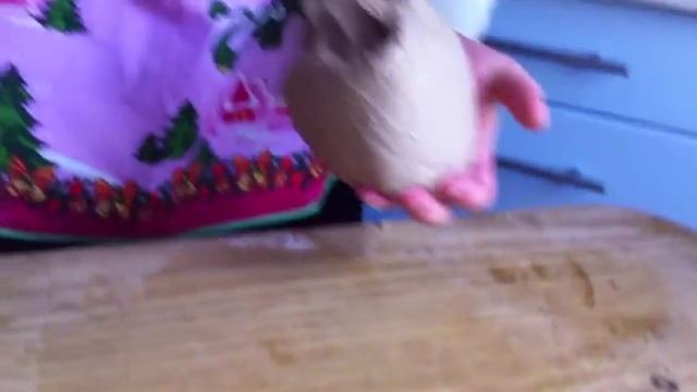 Ржаной Хлеб - 3 Выпекание смотреть онлайн