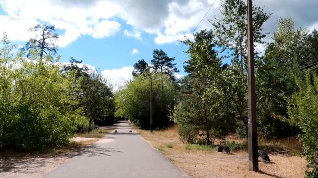 Прогулка в поселок Городок, Лужский район смотреть онлайн