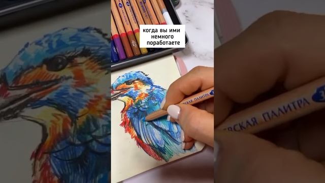 Сколько цветных карандашей необходимо для новичка ✨ смотреть онлайн