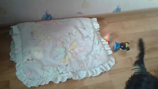 Дрессировка смотреть онлайн