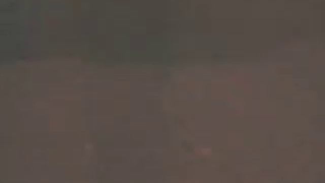 Civil Disturbances after Peaceful Oscar Grant Demo смотреть онлайн