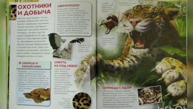 Всемирный день животных (СДК Коржевский) смотреть онлайн