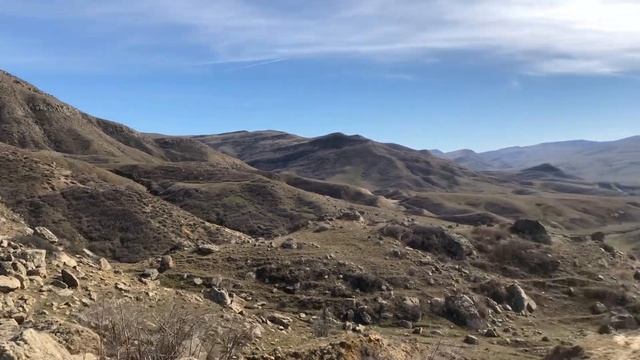 В поисках (красношапочный вьюрок)корольковый вьюрок смотреть онлайн