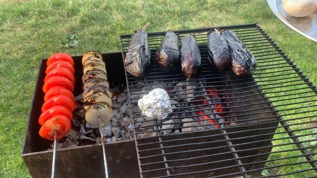 Животные в Зоопарках