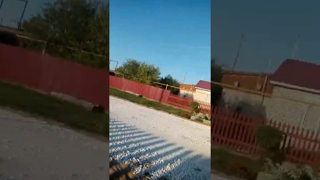 Делаем трюки в нашей деревне смотреть онлайн