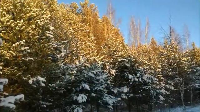 Зимнее утро Декабрь 2016 смотреть онлайн