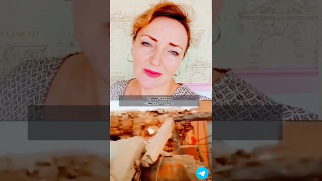 Чтобы учёные стали заниматься вопросами климата, мы должны говорить об этом. смотреть онлайн