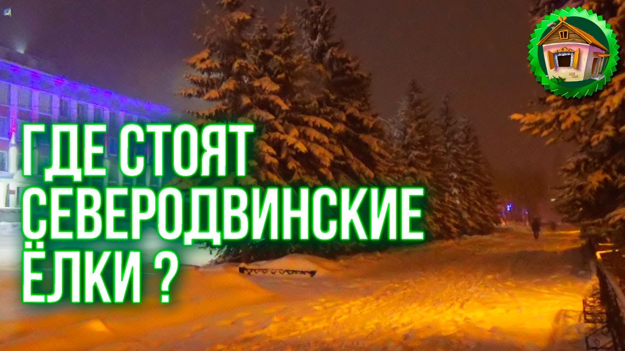 Ёлки последние новогодние. Где стоят Северодвинские Елки? 54 серия смотреть онлайн