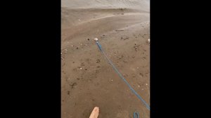 Магнитная рыбалка на Волге!