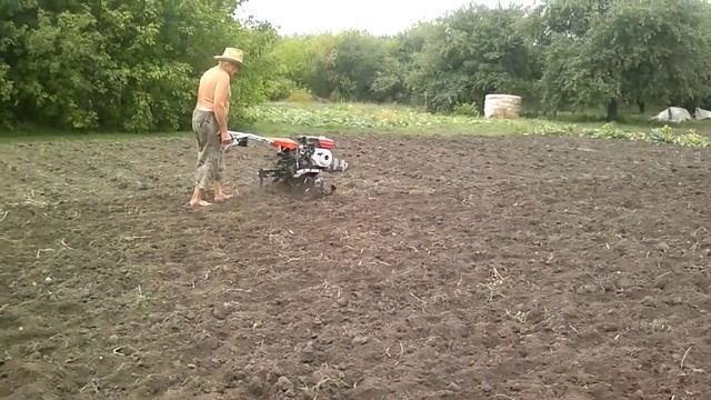 Культивация после картошки смотреть онлайн