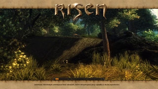 Risen on linux смотреть онлайн