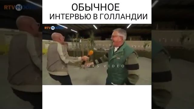 Обычное интервью в Голландии ???#dagi tuta смотреть онлайн