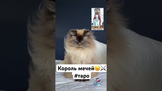 ?Король мечей в Таро #таро #тароонлайн ⚔️? смотреть онлайн