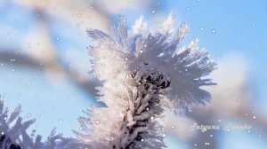 А за окном падает снег Андрей Обидин  Snow is falling outside the window Andrey Obidin