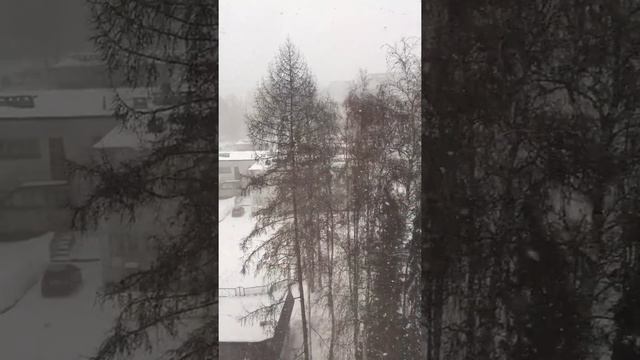 Последний день зимы. 28 февраля 2019г смотреть онлайн