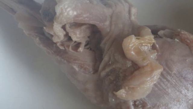 Рецепты от шеф-повара