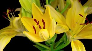 Невероятно вдохновляющая и Бесконечно КРАСИВАЯ МУЗЫКА для души (Сергей Грищук)... красивая видео