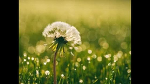 Музыка для глубокого сна.(Calm relaxing music for deep sleep) смотреть онлайн