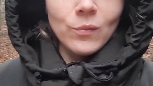 Новый год в Нидерландах/ База отдыха/ Рум тур/ Высота/Еда , камин, друзья... смотреть онлайн