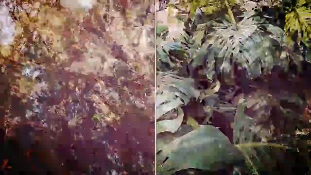 PROYECTO TEJIDOS, Calgary 2022 -workshop & Site Specific Performance-