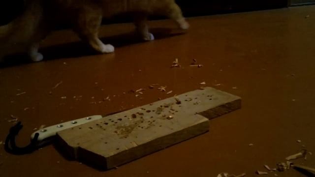 Нож из рессоры -Тест