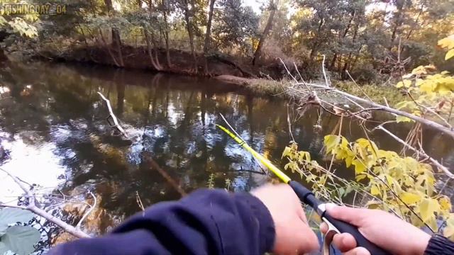 Красивая Каргала🌳🌲🌲🌳4 километра в доль реки со спиннингом 🎣📍 смотреть онлайн