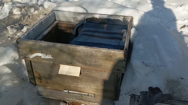 Конец зимовки. Пошли на улицу смотреть. смотреть онлайн