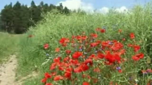 Людмила Зыкина День рождения Л.Г.Зыкиной.flv смотреть онлайн