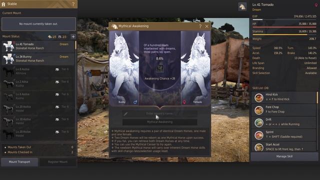 BDO - T10 Pegas смотреть онлайн