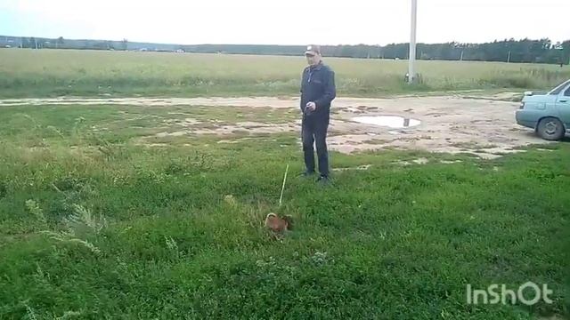 ДОРОГА НА ЮГ/ МОРЕ 2019 смотреть онлайн