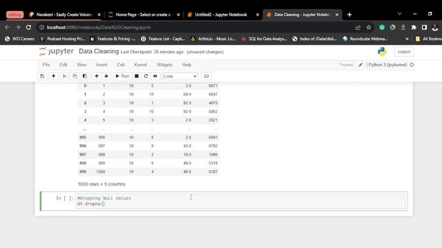 DATA CLEANING IN PYTHON FOR BEGINNERS. смотреть онлайн