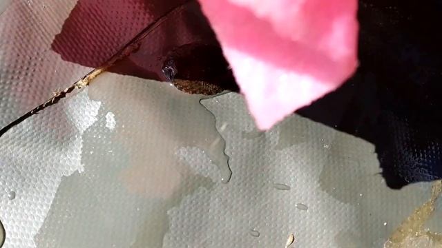 2019_08_10-11 ч8-8 Поход на байдарках по Сейму, Путивль - Лысогубовка 22мин смотреть онлайн