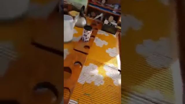 Лов трески в Балтийском море смотреть онлайн