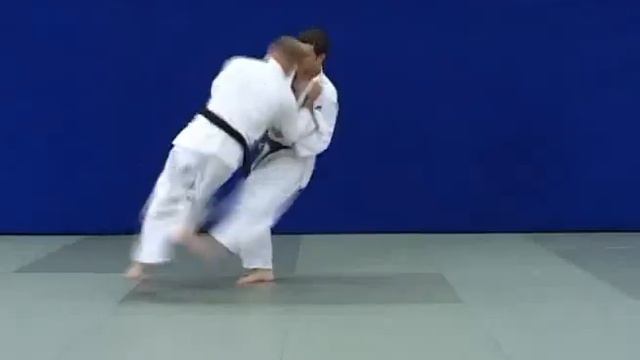 Nage waza – tsubame-gaeshi (judo, 4 kyu). смотреть онлайн