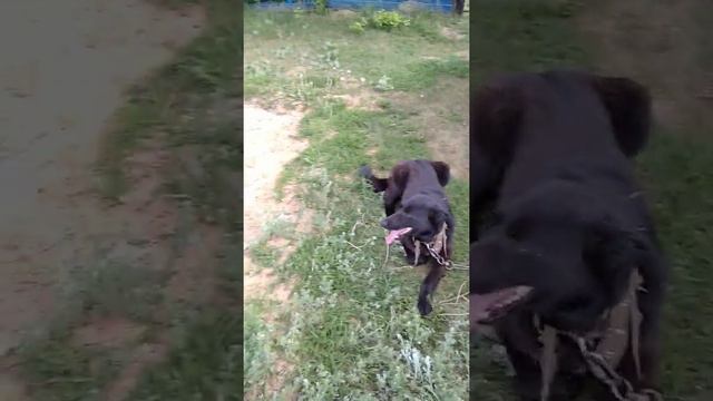 Знакомьтесь Люция смотреть онлайн