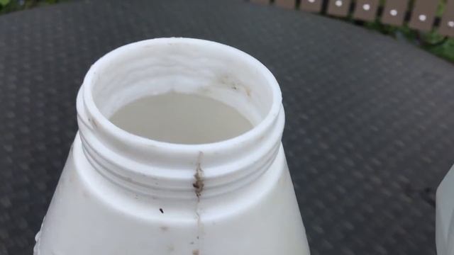 ЧУДЕСА ЛЕТНИХ ПОДКОРМОК смотреть онлайн