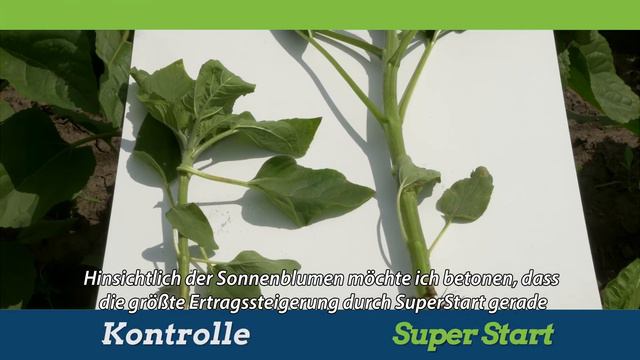 Super Start - GERMAN language смотреть онлайн