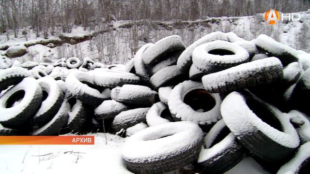 Бюджет экология бездомные животные актуальные темы для депутатов смотреть онлайн