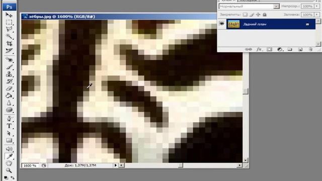 Основы Photoshop. Растровая и векторная графика смотреть онлайн