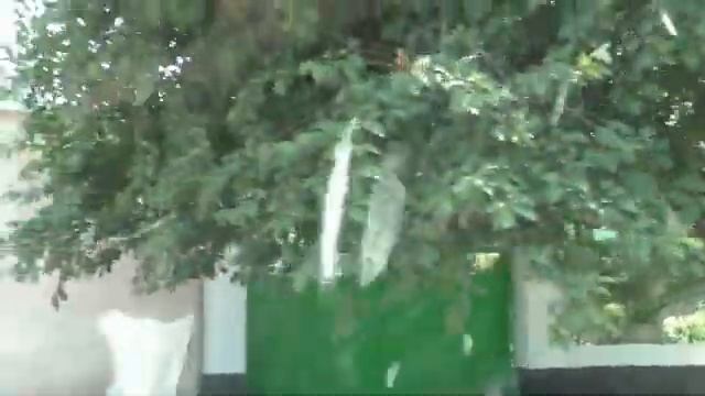Путешествие по Нальчику. Улицы Идарова /Гагарина/ , Парижской Коммуны . смотреть онлайн