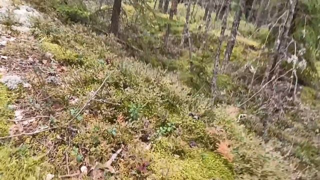 Водный поход по Ладожским шхерам 2020 часть 1 смотреть онлайн